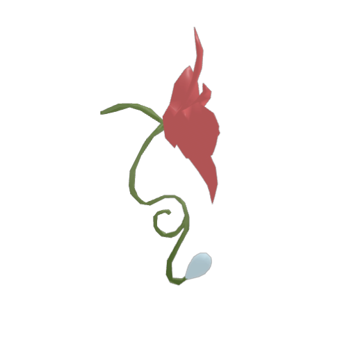 Dewbloom