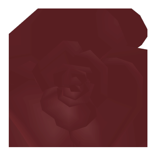 Forgotten Roses